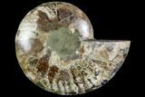 Bargain, Agatized Ammonite Fossil (Half) - Crystal Chambers #111546-1